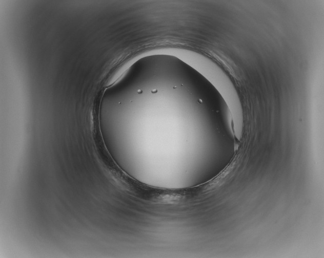 X0000111840158200908131426