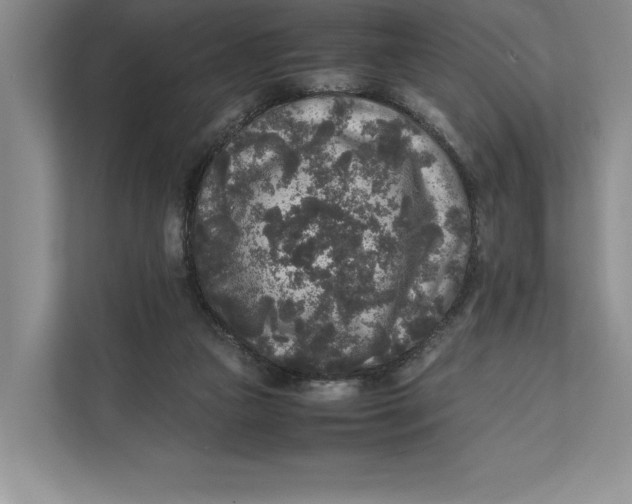 X0000111840161200908131426