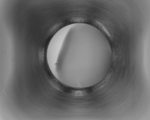 X0000111840163200908131426