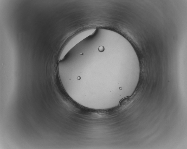 X0000111840164200908131426