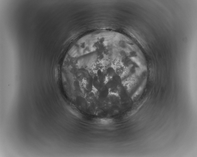 X0000111840165200908131426