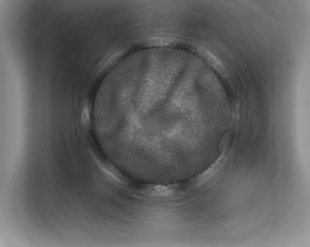 X0000111840166200908131426