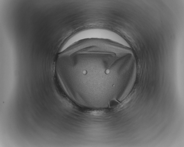 X0000111840168200908131426