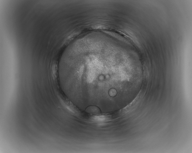 X0000111840171200908131426