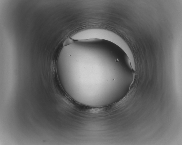 X0000111840172200908131426