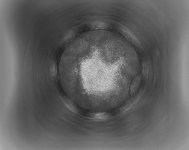 X0000111840173200908131426