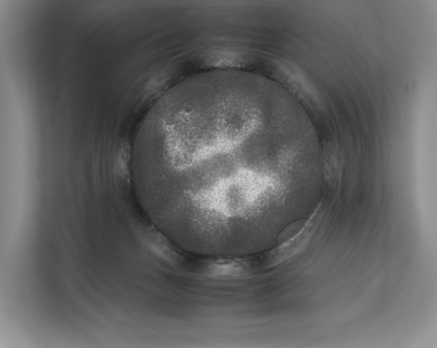 X0000111840175200908131426