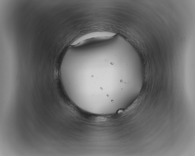 X0000111840176200908131426