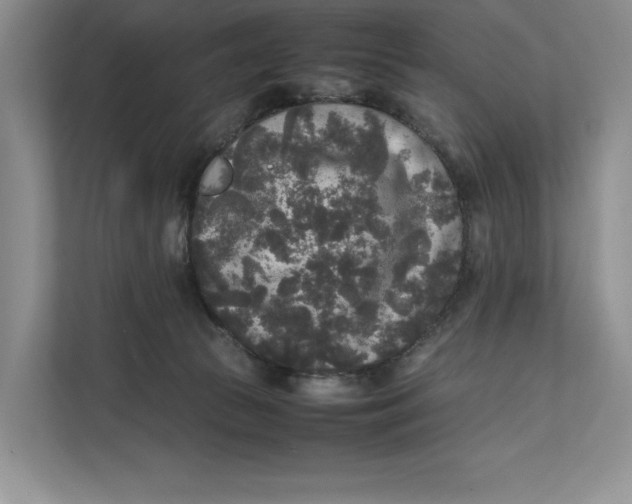 X0000111840177200908131426