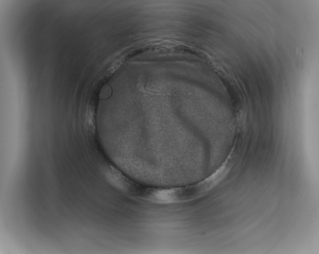 X0000111840178200908131426