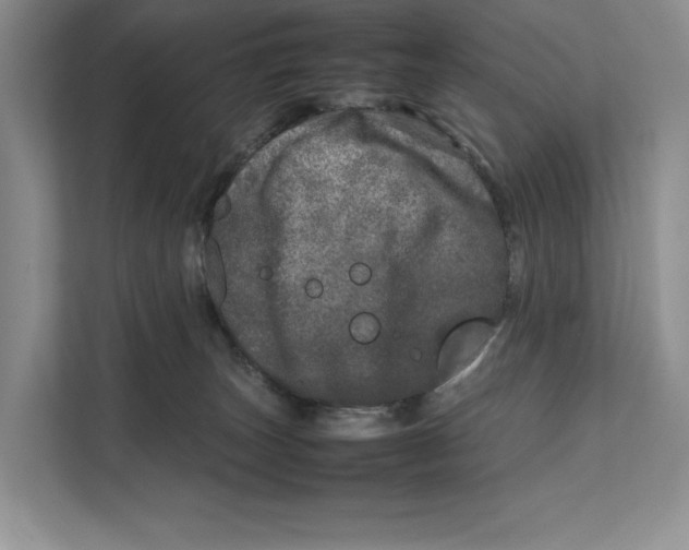 X0000111840179200908131426