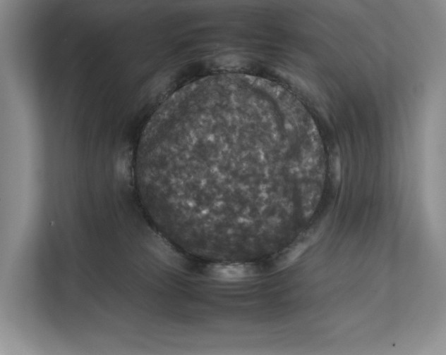 X0000111840181200908131426