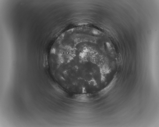 X0000111840182200908131426