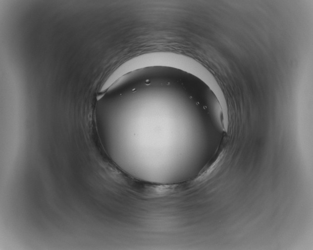 X0000111840184200908131426