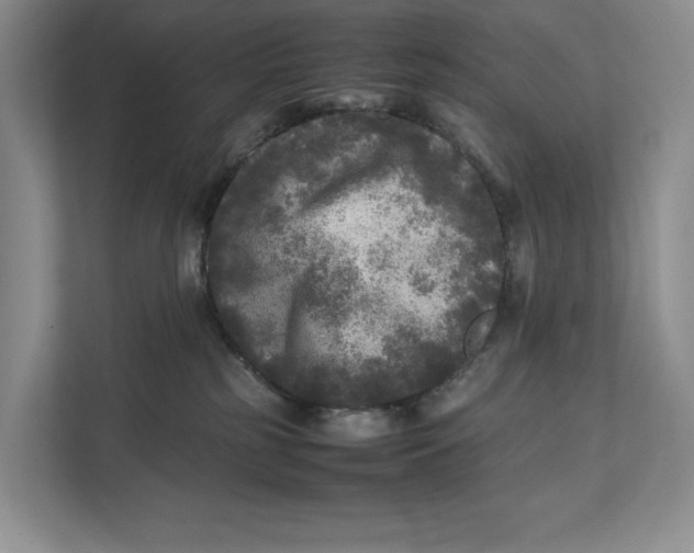 X0000111840185200908131426