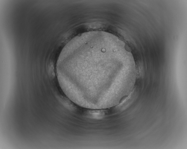 X0000111840187200908131426