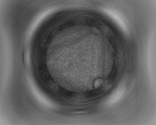 X0000111840189200908131426