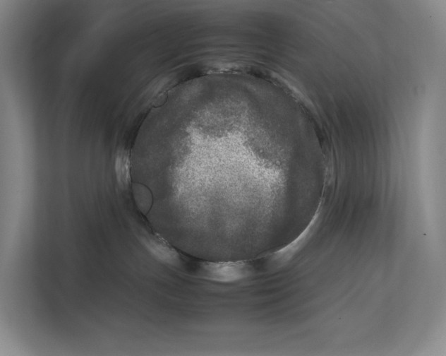 X0000111840191200908131426