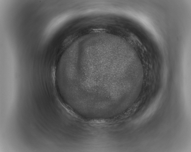 X0000111840194200908131426