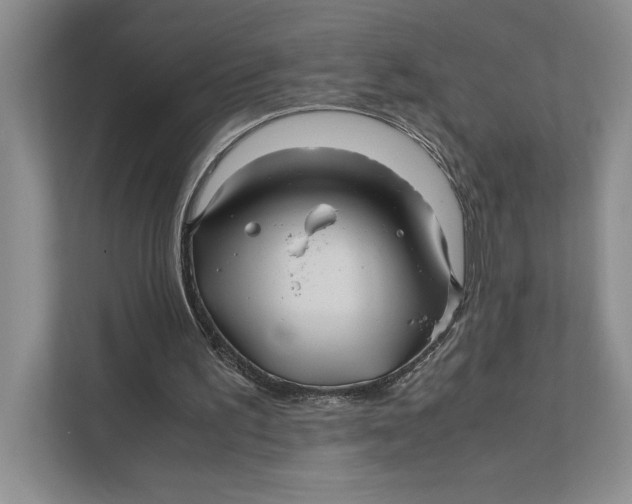 X0000111840195200908131426