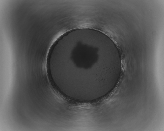 X0000111840196200908131425