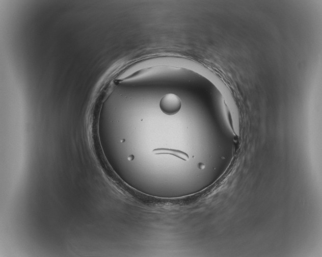 X0000111840197200908131425