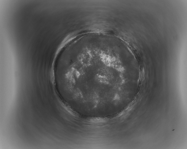 X0000111840198200908131425