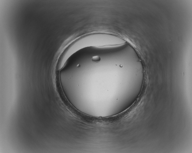 X0000111840199200908131425