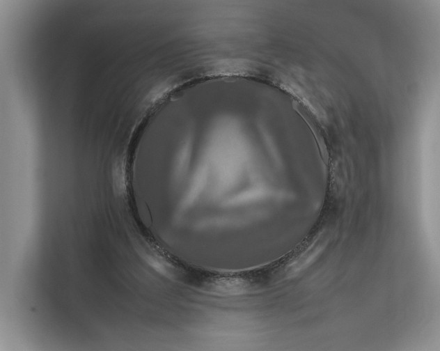 X0000111840203200908131425