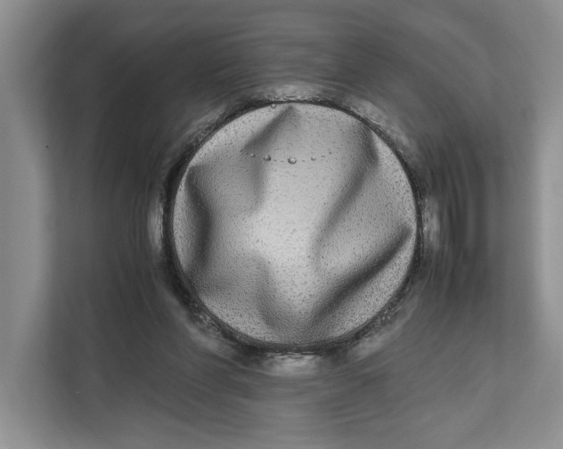 X0000111840206200908131425