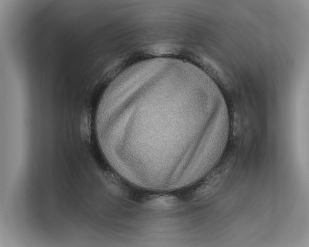 X0000111840210200908131425