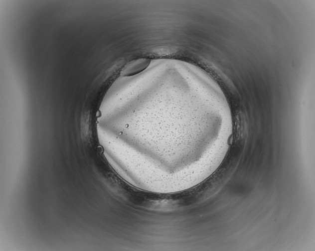 X0000111840212200908131425