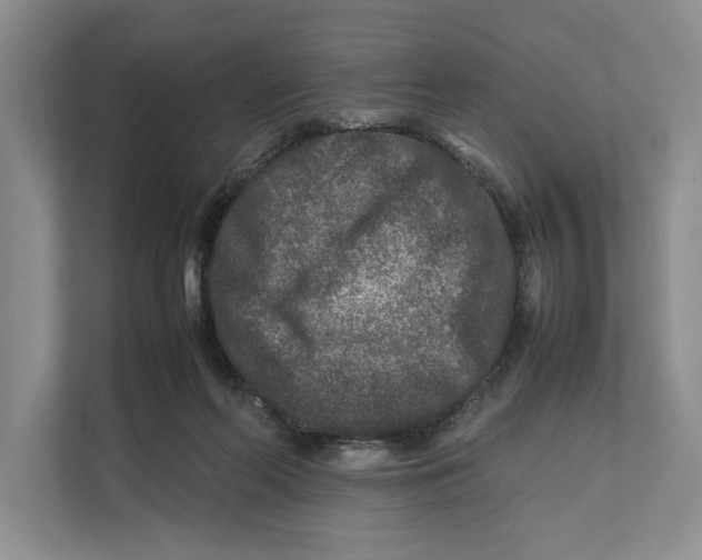 X0000111840214200908131425