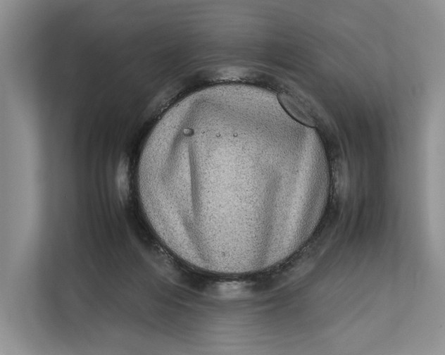 X0000111840216200908131425