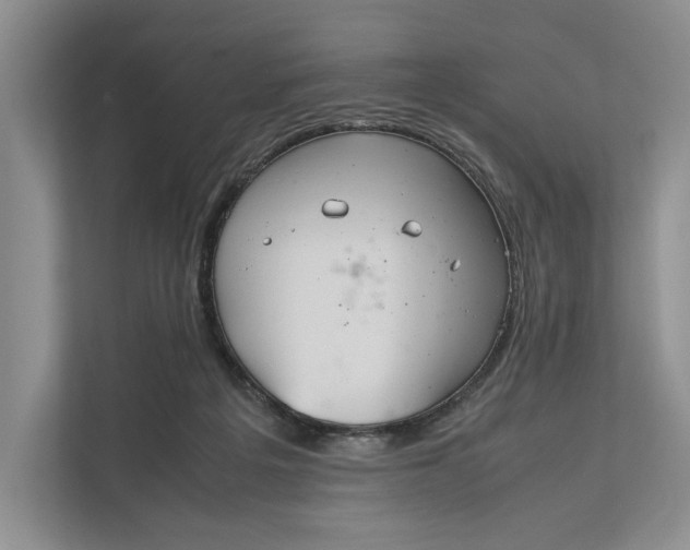 X0000111840217200908131425