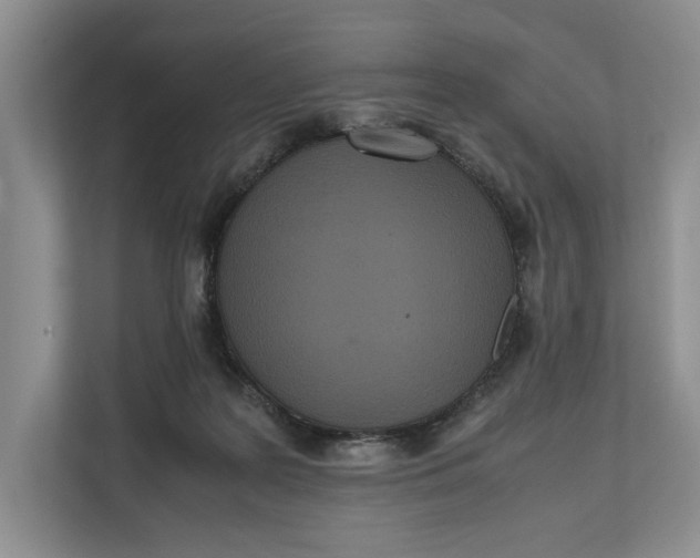 X0000111840219200908131425