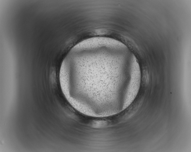 X0000111840220200908131425