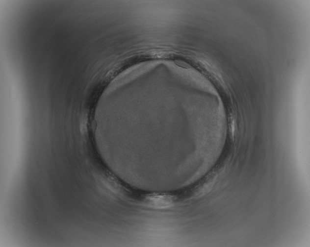 X0000111840221200908131425