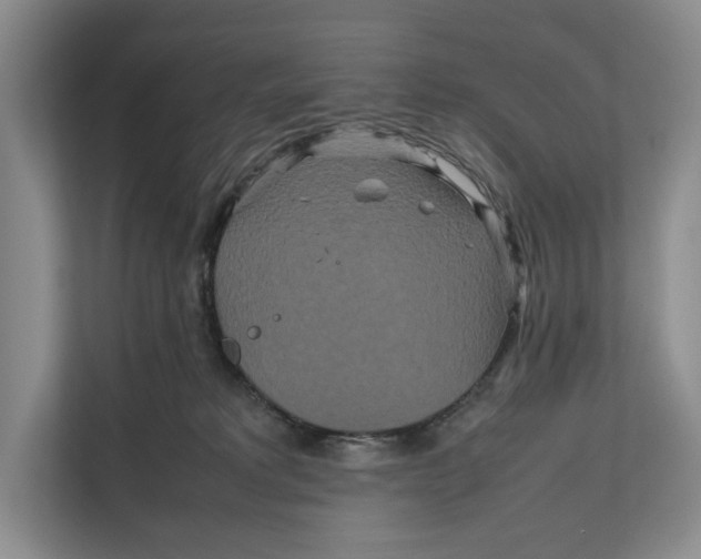 X0000111840229200908131425