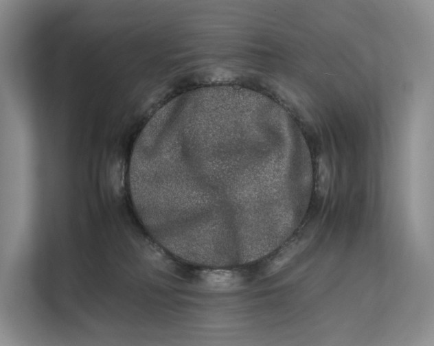 X0000111840230200908131425