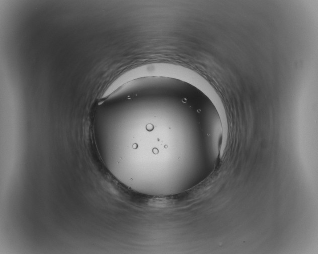 X0000111840231200908131425