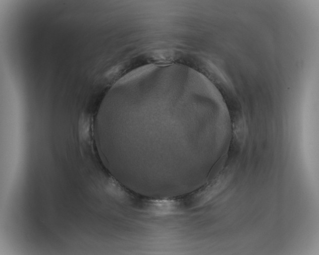 X0000111840233200908131425