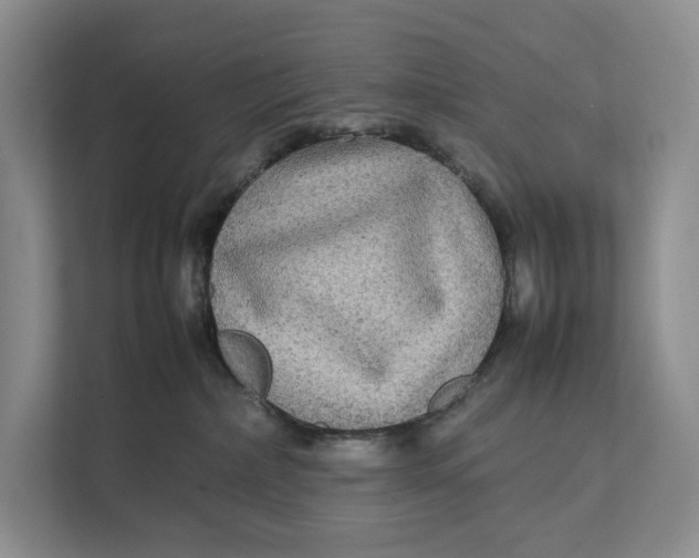 X0000111840236200908131425