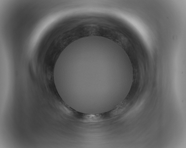 X0000111840239200908131425