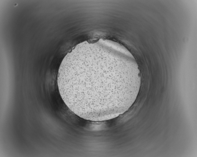 X0000111840240200908131425