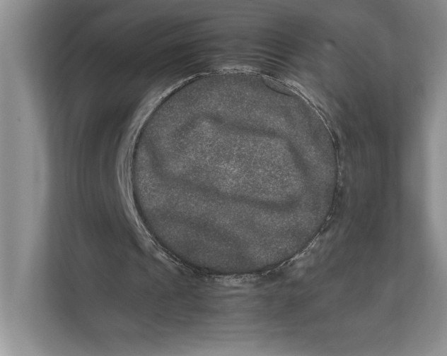 X0000111840241200908131424