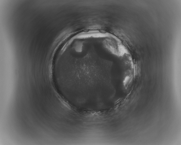 X0000111840243200908131424