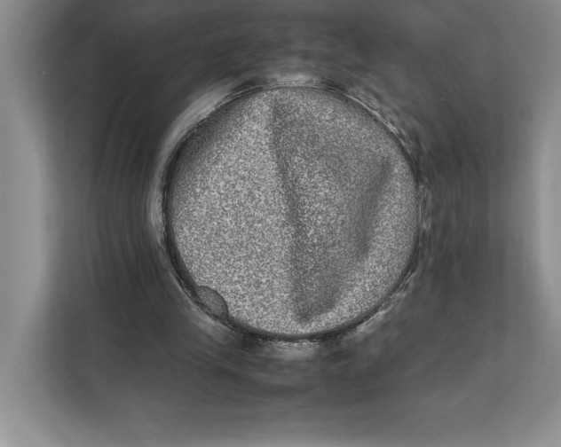 X0000111840245200908131424