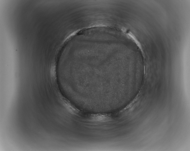 X0000111840249200908131424