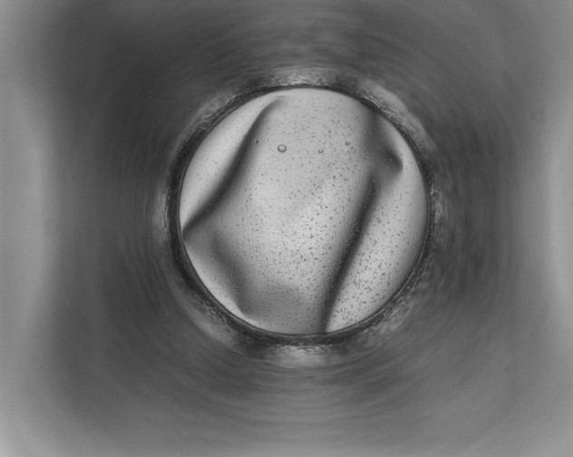 X0000111840250200908131424